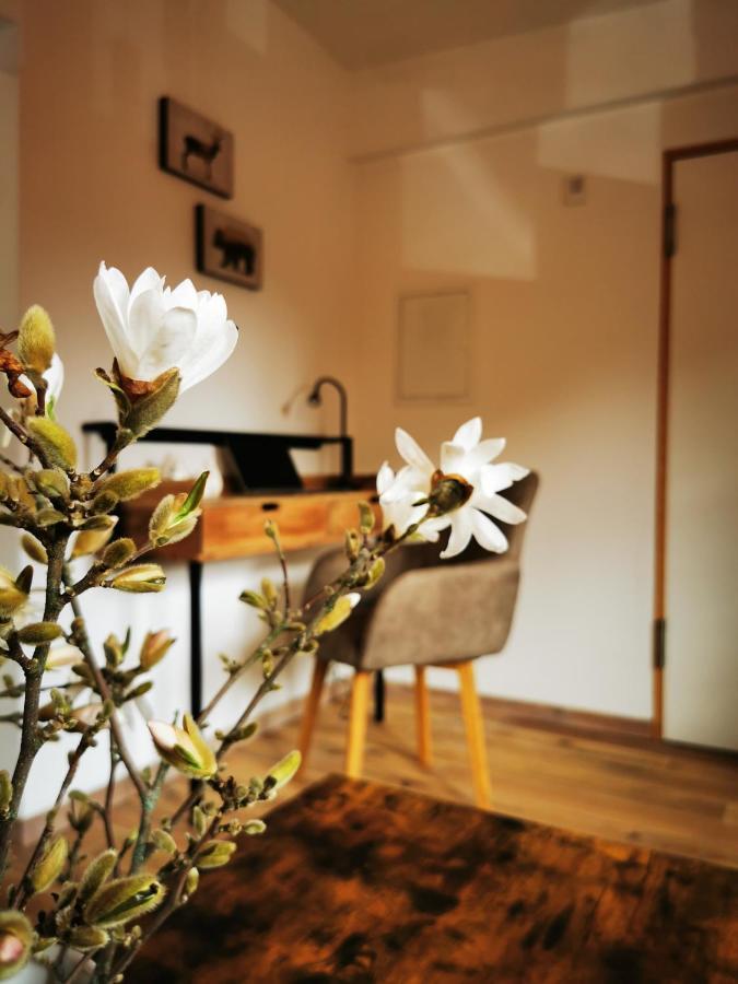Haselnuss Apartamento Ilsenburg Exterior foto